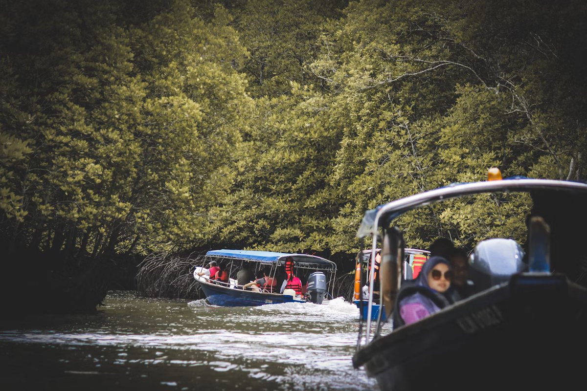 Guests on a boat excursion through Langkawi mangroves