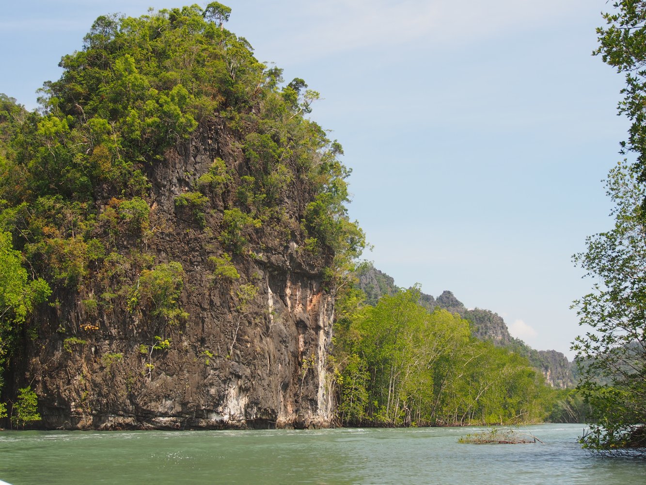 Limestone cliffs and mangrove-lined waterways at Kilim Geoforest Park, Langkawi